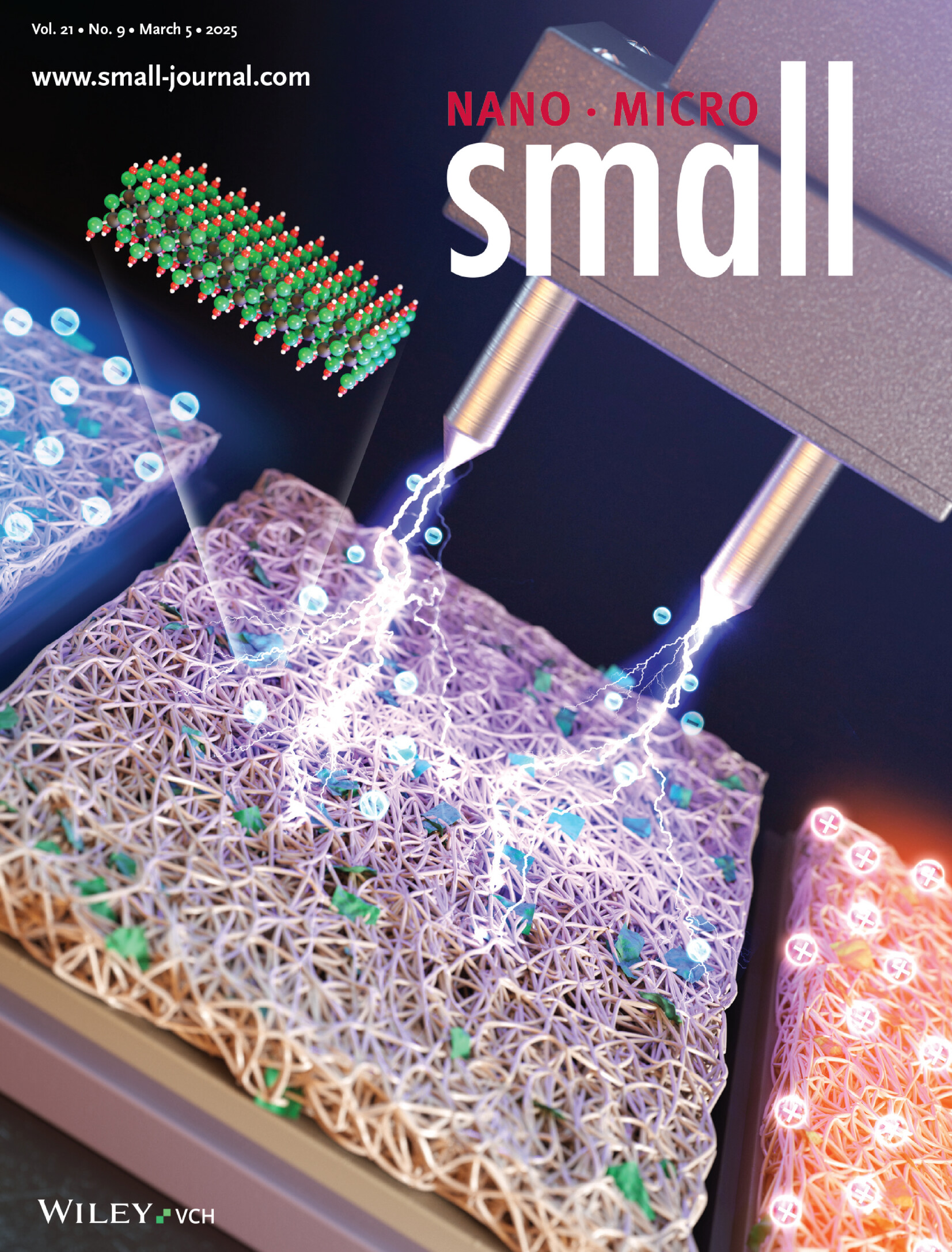 Development of Turbocharging-Ability Hybrid Nanogenerators Comprising Bipolar PVDF-HFP/MXene Electrospun Composites (Small 9/2025) Volume 21 Issue 9, 2025