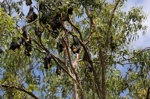 Details are in the caption following the image