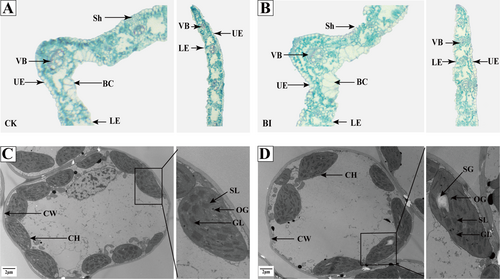 Details are in the caption following the image Details are in the caption following the image