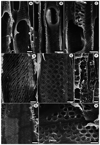 Details are in the caption following the image Details are in the caption following the image