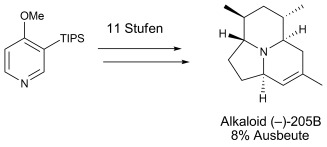 Concise Total Synthesis of the Frog Alkaloid (−)-205 B