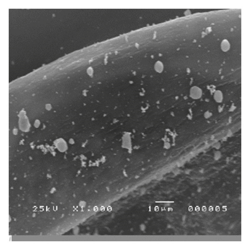 Details are in the caption following the image