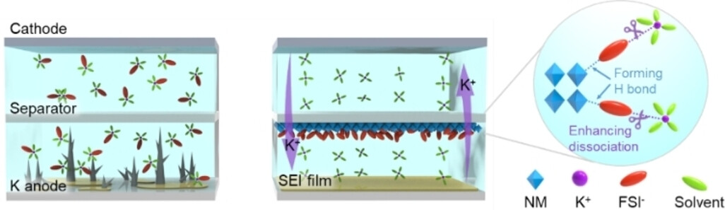 Polyolefin-Based Separator with Interfacial Chemistry Regulation for Robust Potassium Metal Batteries