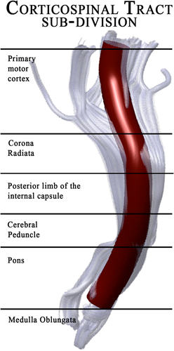 Details are in the caption following the image