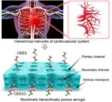 Reactive Polymers of Intrinsic Microporous Aerogels for Rapid Mustard Gas Detoxification