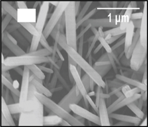 Details are in the caption following the image