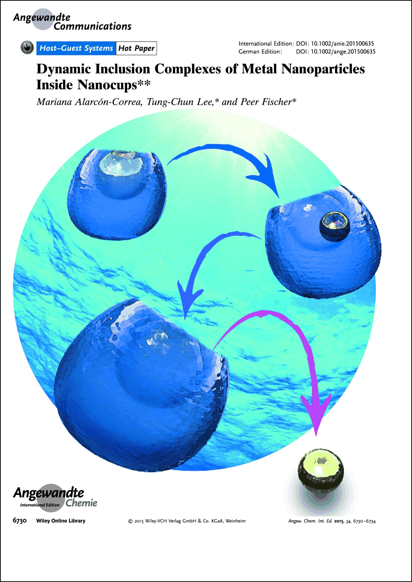 Frontispiece: Dynamic Inclusion Complexes of Metal Nanoparticles Inside Nanocups