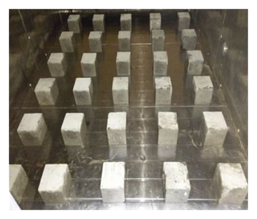 Details are in the caption following the image Details are in the caption following the image
