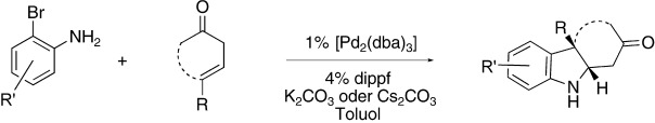 Palladium-Catalyzed γ-Arylation of β,γ-Unsaturated Ketones: Application to a One-Pot Synthesis of Tricyclic Indolines