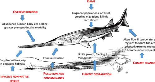 Details are in the caption following the image