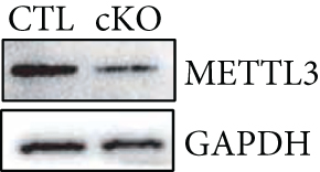 Details are in the caption following the image