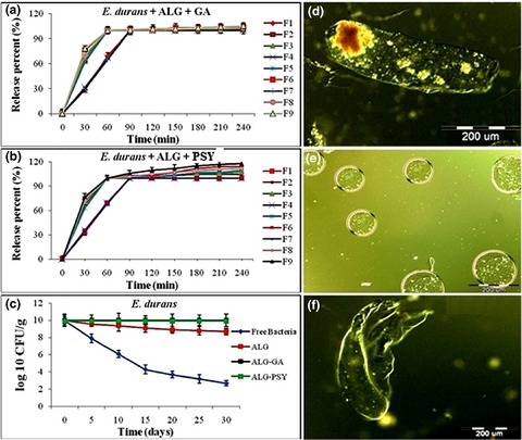 Effect of psyllium and gum Arabic biopolymers on the survival rate and storage stability in yogurt of Enterococcus durans IW3 encapsulated in alginate