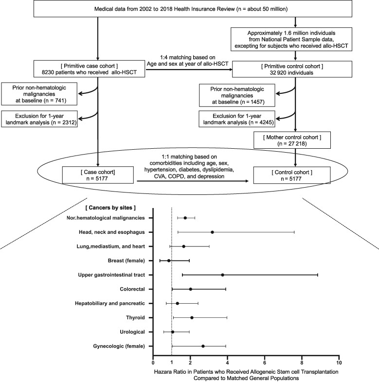 Risk of secondary nonhematologic malignancies after allogeneic stem cell transplantation: A nationwide case-control cohort study