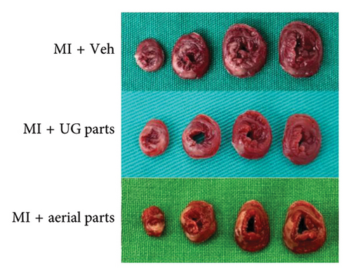 Details are in the caption following the image