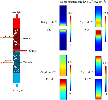 In-Depth Analysis of Electrochemical Reaction Rate Distribution in Microfluidic Fuel Cell with Flow-Through Electrodes