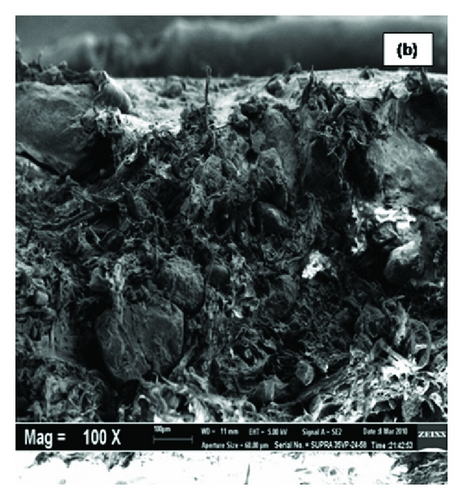 Details are in the caption following the image