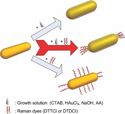 Competitive Reaction Pathway for Site-Selective Conjugation of Raman Dyes to Hotspots on Gold Nanorods for Greatly Enhanced SERS Performance