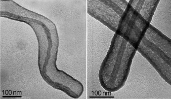 Carbon Nanotubes Encapsulated in Wormlike Hollow Silica Shells