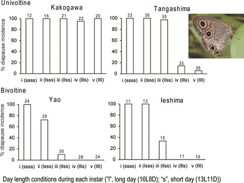 Variability of photosensitive period and voltinism among populations of a butterfly, Ypthima multistriata, inhabiting similar latitudes and altitudes