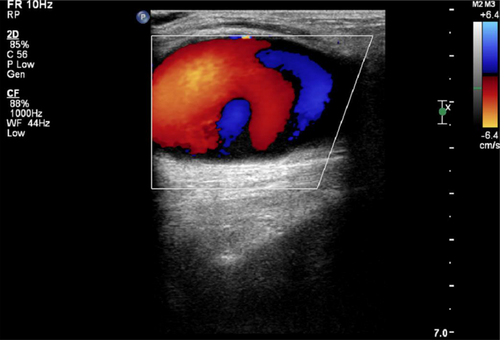 Details are in the caption following the image Details are in the caption following the image