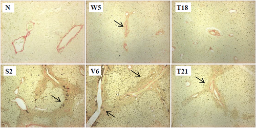 Details are in the caption following the image Details are in the caption following the image