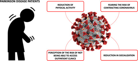 Parkinson's disease patients' needs during the COVID-19 pandemic in a red zone: A framework analysis of open-ended survey questions