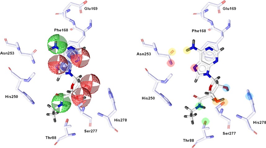 Integrating Pharmacophore into Membrane Molecular Dynamics Simulations to Improve Homology Modeling of G Protein-coupled Receptors with Ligand Selectivity: A2A Adenosine Receptor as an Example