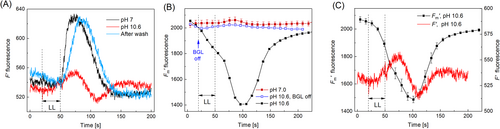 Details are in the caption following the image Details are in the caption following the image