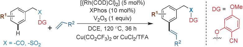 Rhodium-Catalyzed meta-C−H Functionalization of Arenes