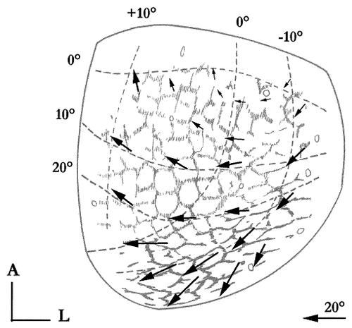 Details are in the caption following the image