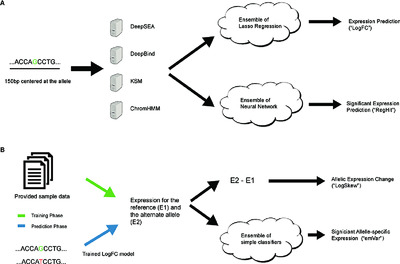 Accurate eQTL prioritization with an ensemble-based framework