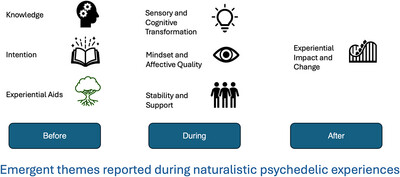 Deconstructing Psychedelic Phenomenology: A Thematic Analysis of Discrete Phases of the Psychedelic Experience