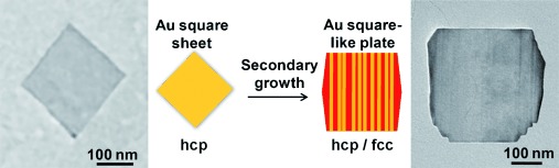 Synthesis of Gold Square-like Plates from Ultrathin Gold Square Sheets: The Evolution of Structure Phase and Shape
