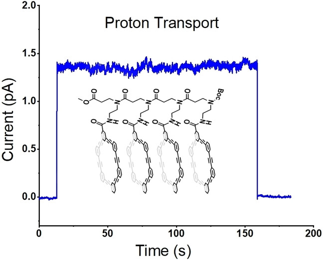 Covalently Linked Hexakis(m-Phenylene Ethynylene) Macrocycles as Molecular Nanotubes