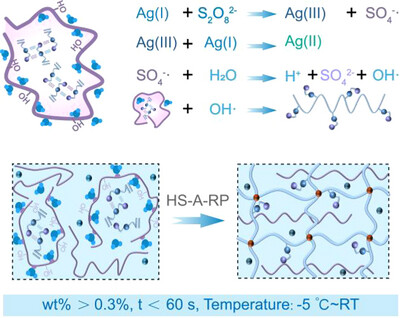 Scalable Preparation of Polyzwitterionic Hydrogels Based on Hydration Shielding-Accelerated Redox Self-Catalytic Polymerization (HS-A-RP)
