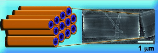 Ionic Self-Assembly Provides Dense Arrays of Individualized, Aligned Single-Walled Carbon Nanotubes