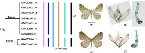 Details are in the caption following the image