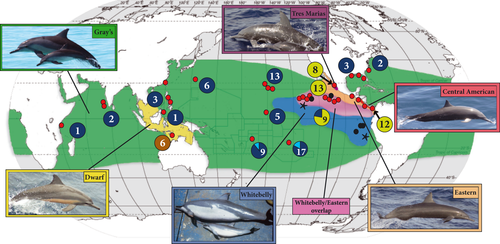 Details are in the caption following the image Details are in the caption following the image