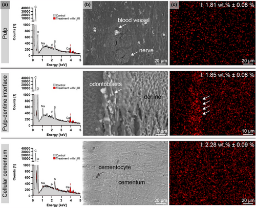 Details are in the caption following the image Details are in the caption following the image
