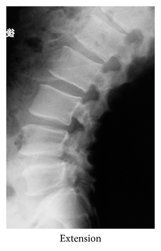 Details are in the caption following the image Details are in the caption following the image