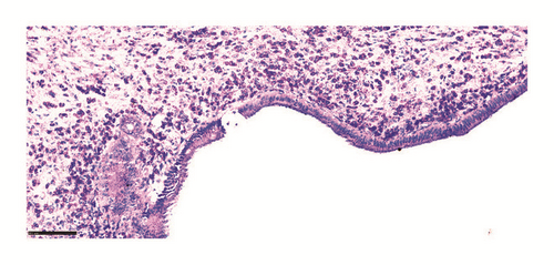 Details are in the caption following the image
