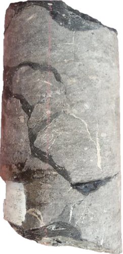 Details are in the caption following the image