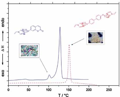 Polymerizable Ionic Liquid Crystals
