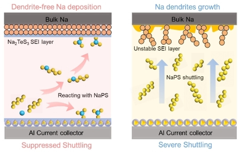 Stable Dendrite-Free Room Temperature Sodium-Sulfur Batteries Enabled by a Novel Sodium Thiotellurate Interface