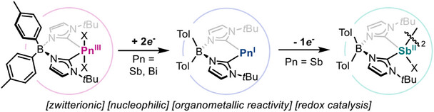 Zwitterionic Heavier Pnictinidenes in Redox Catalysis