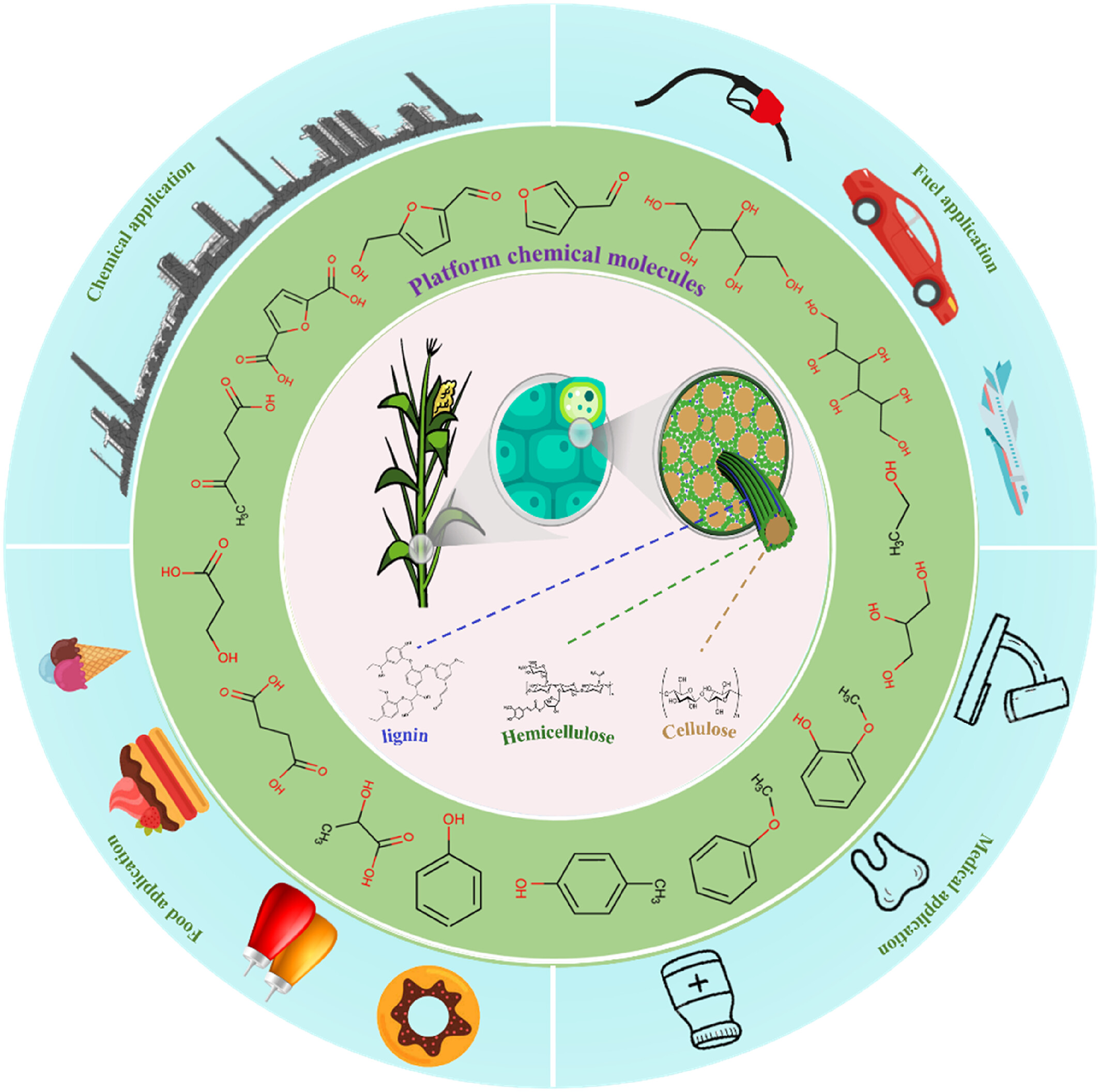 A review on renewable energy: Conversion and utilization of biomass Issue 4, 2024