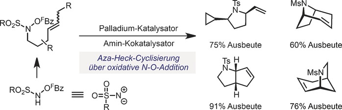 Diverse N-Heterocyclic Ring Systems via Aza-Heck Cyclizations of N-(Pentafluorobenzoyloxy)sulfonamides