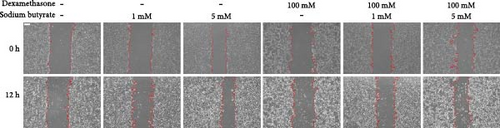 Details are in the caption following the image Details are in the caption following the image