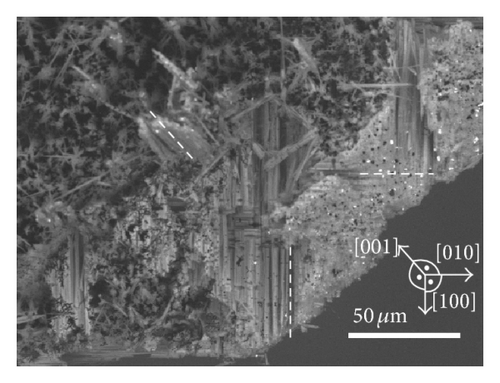 Details are in the caption following the image