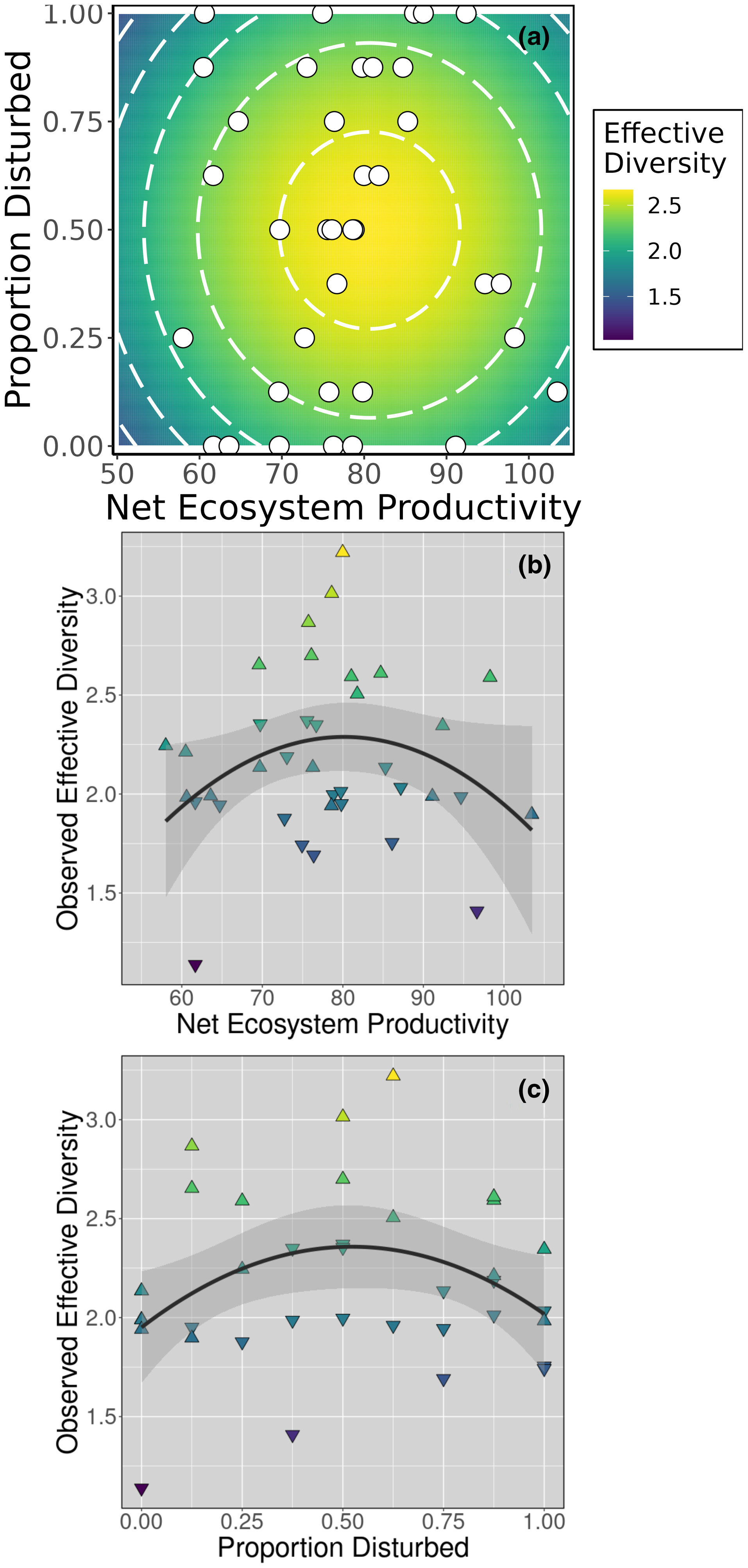 Experimental disturbance and productivity gradients drive community diversity in aquatic mesocosms